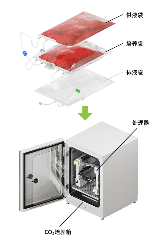 细胞扩增系统