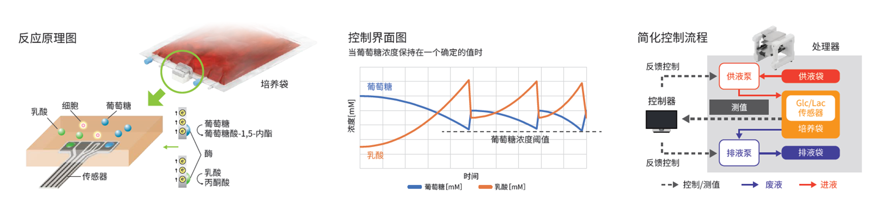 细胞扩增系统