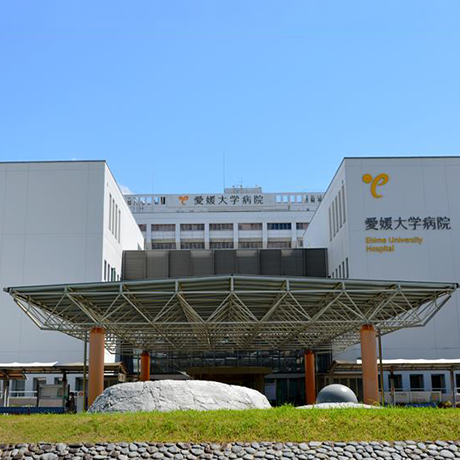 T细胞